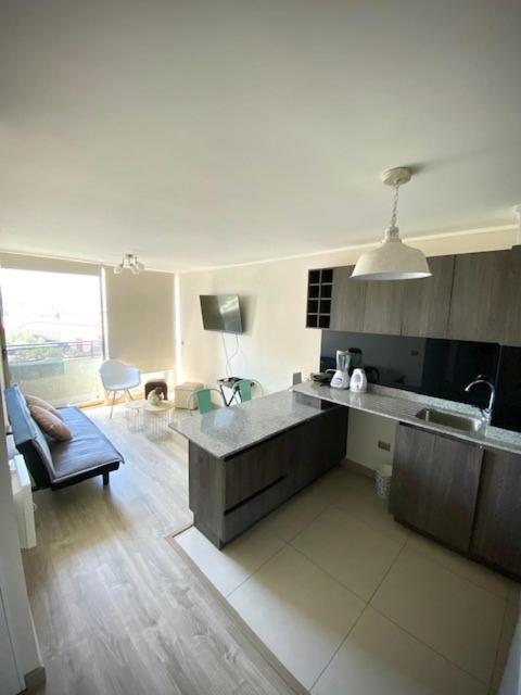 Loica Chile Apartment Santiago Ngoại thất bức ảnh