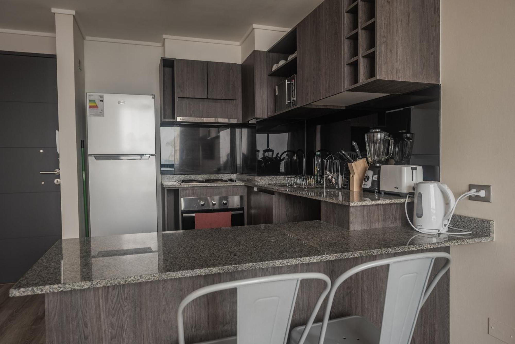 Loica Chile Apartment Santiago Ngoại thất bức ảnh